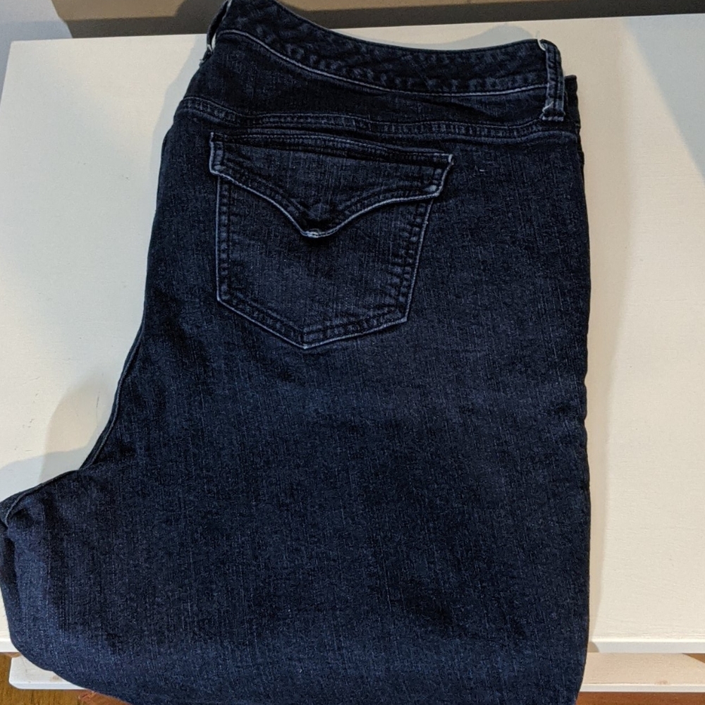 Torrid Shorts